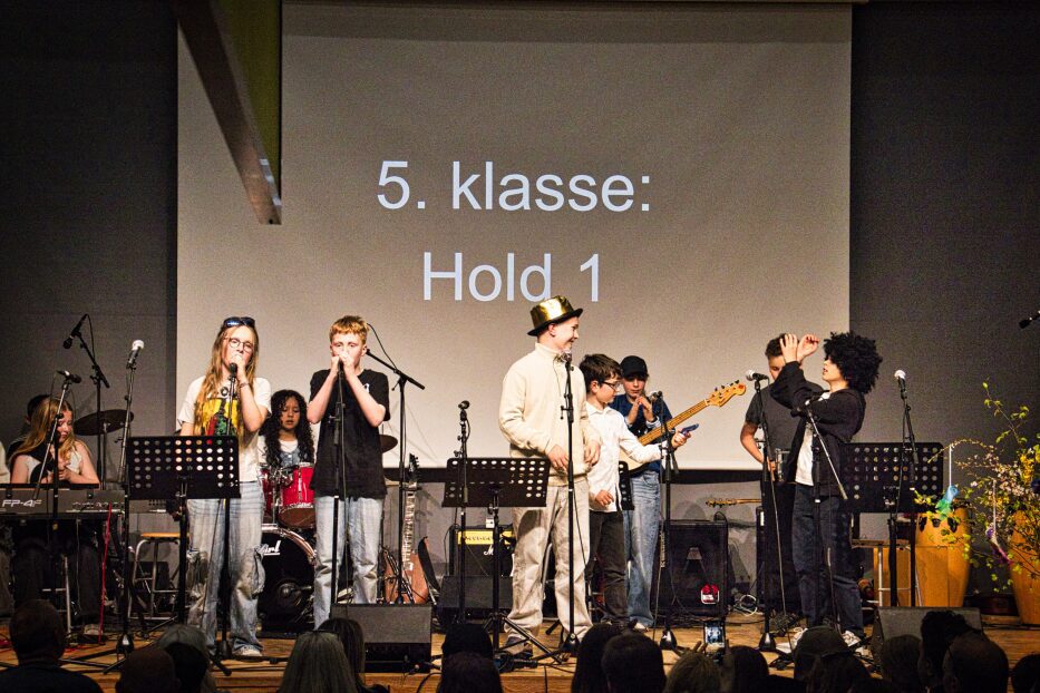 Musiklærer Søges